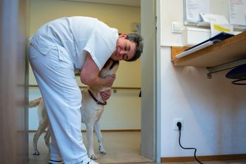 Wyjątkowy pomysł szpitala w Legnicy. "Święta to czas szczególny"