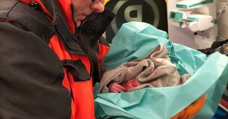 Nawet na sygnale nie zdążyli. Pokazano przesłodkie zdjęcia z karetki
