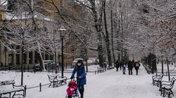 Czy mróz zabija koronawirusa? O zdanie zapytaliśmy ekspertów