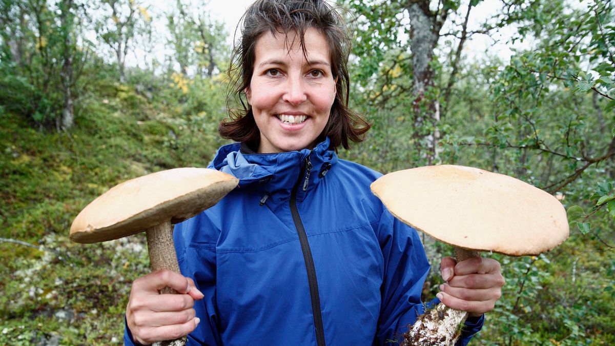 To mit, że nie stanowią zagrożenia. Spożycie może uszkadzać wątrobę, serce i nerki