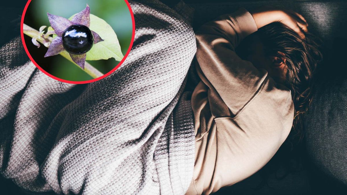 Wycieczki do lasu mogą skończyć się poważną chorobą. Uważaj na te niebezpieczeństwa