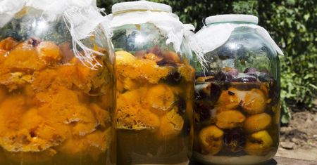 Nalewka ze śliwek naturalnym zabójcą wirusów. Przepis przekazywany z pokolenia na pokolenie