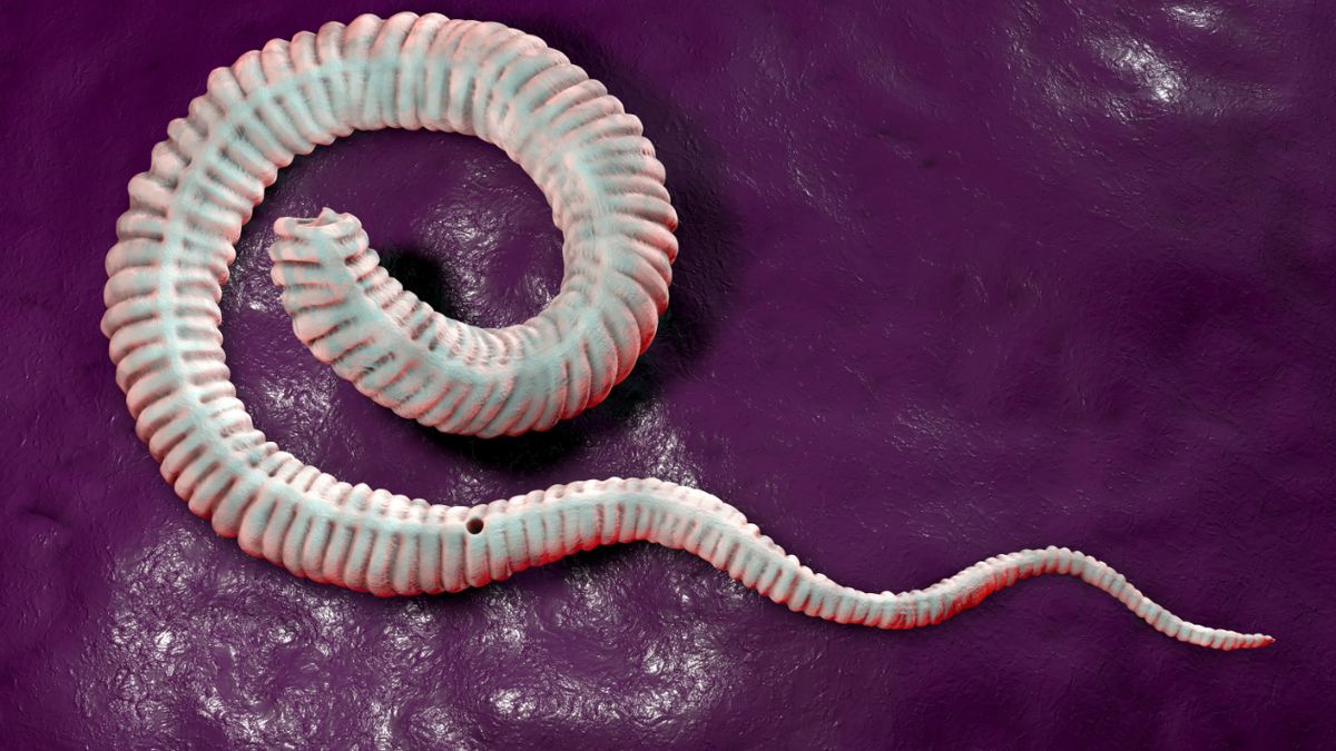 Drakunkuloza to choroba pasożytnicza wywoływana przez nitkowca podskórnego.