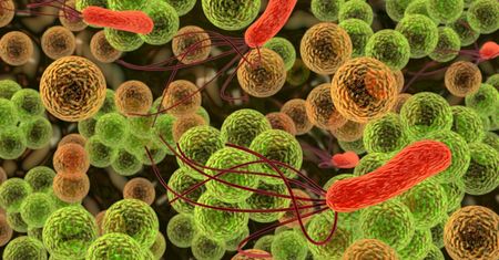 Haemophilus influenzae - choroby wywołane bakterią, szczepienie