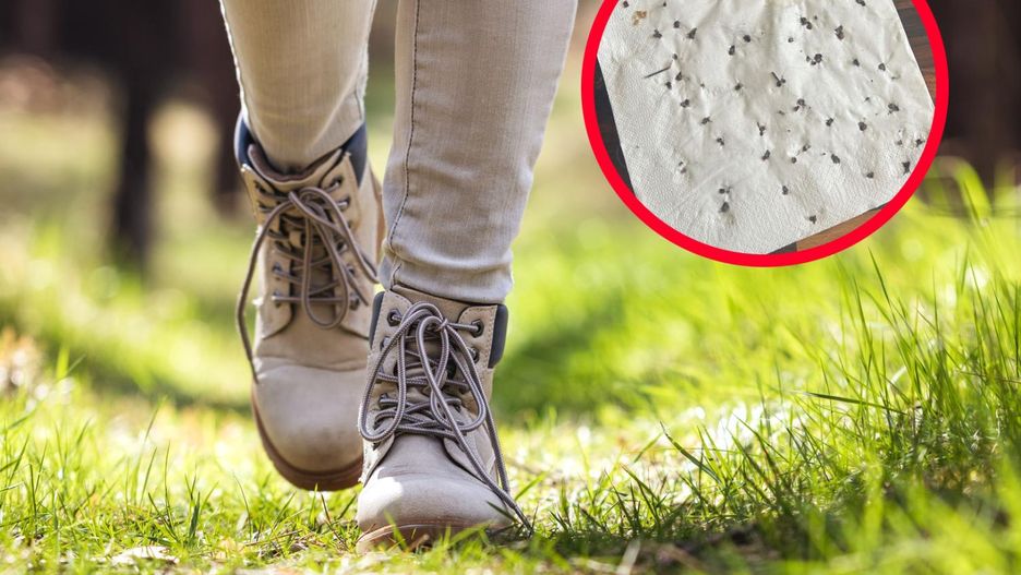 Pokazała efekt spaceru po lesie