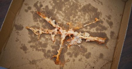 Są w kosmetykach i pudełkach na pizzę. KE: Stwarza niedopuszczalne ryzyko dla zdrowia ludzi
