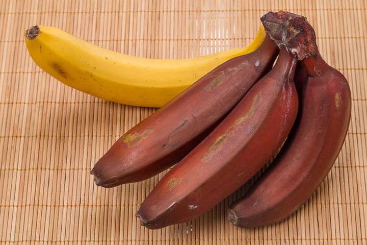 Czerwone banany mają więcej kalorii i więcej potasu niż żółte