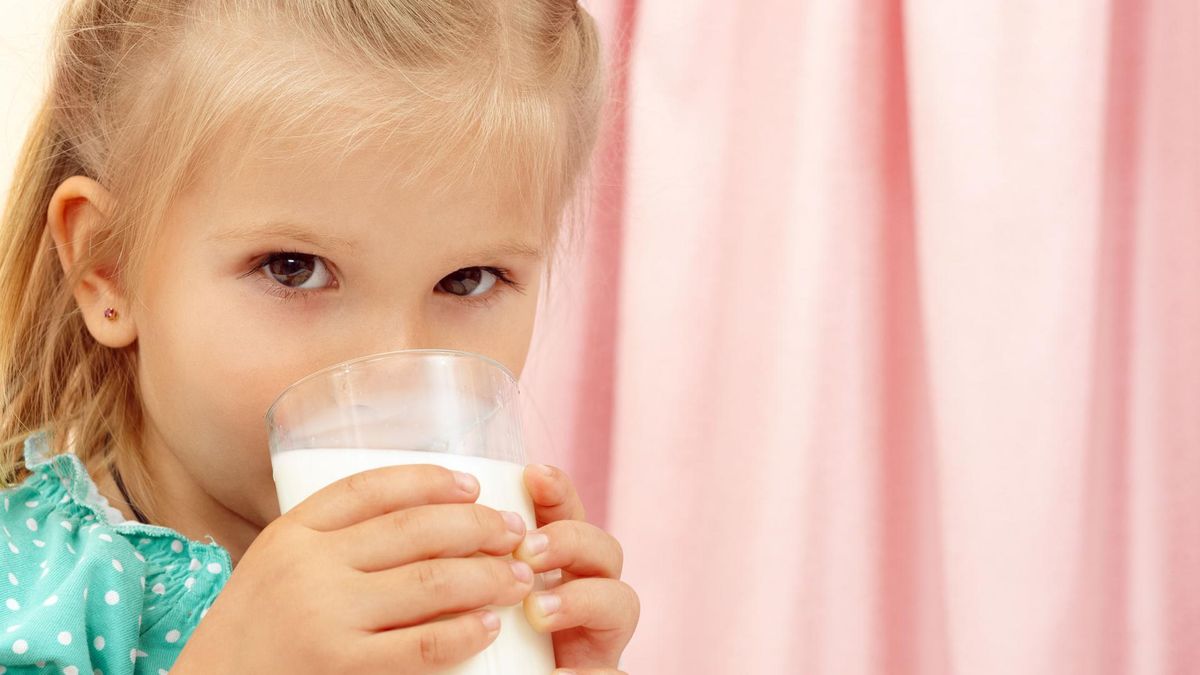 Mleko krowie zawiera cenną dla odporności laktoferynę