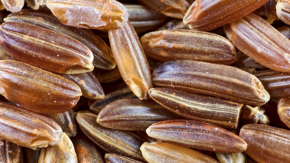 Czy ekstrakt z czerwonego ryżu może zastąpić statyny?