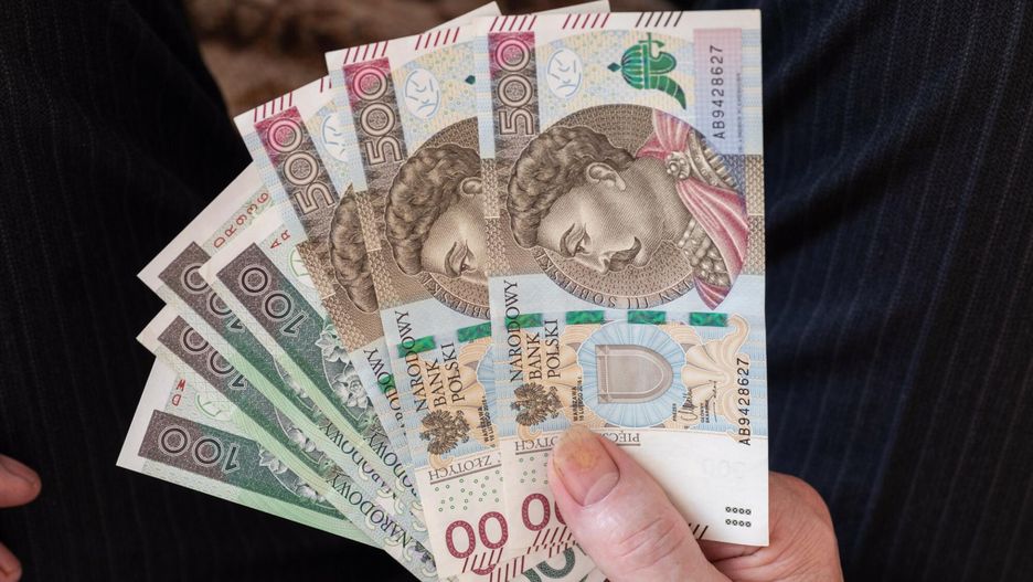 ZUS ostrzega przed oszustami. Na celowniku osoby pobierające "800 plus"