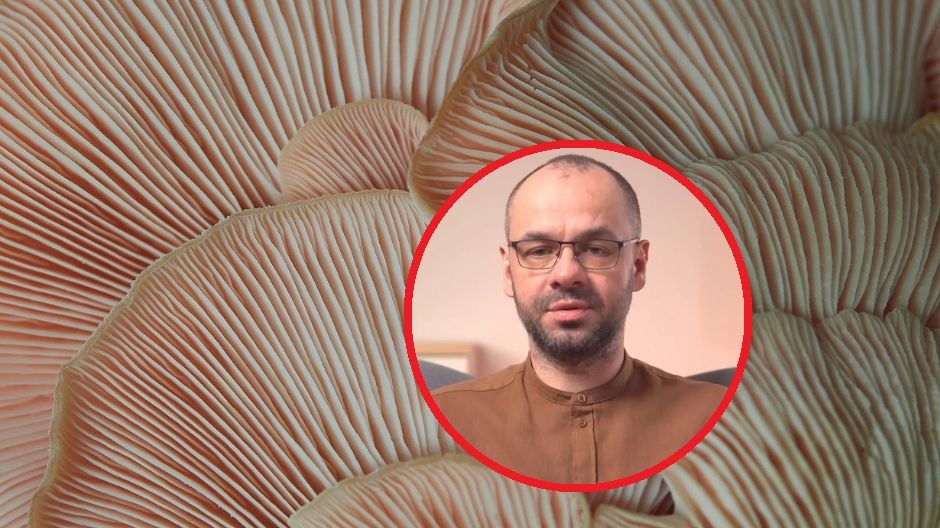 Kupisz za grosze. Lekarz potwierdza, że wydłużają życie