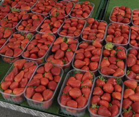 Przyjmujesz te leki? Lepiej unikaj truskawek