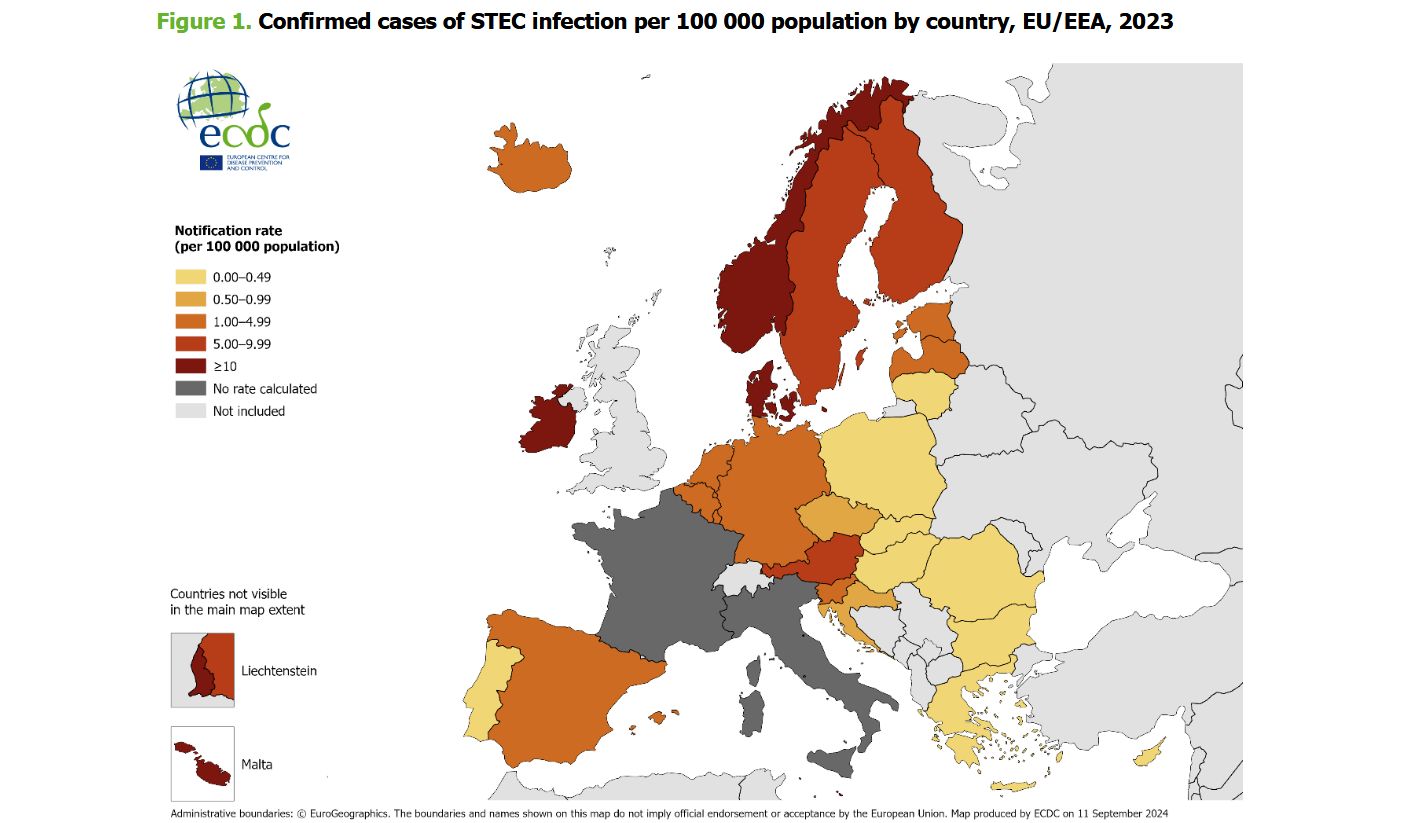 Zakażenia bakteriami E.coli mogą mieć poważny przebieg