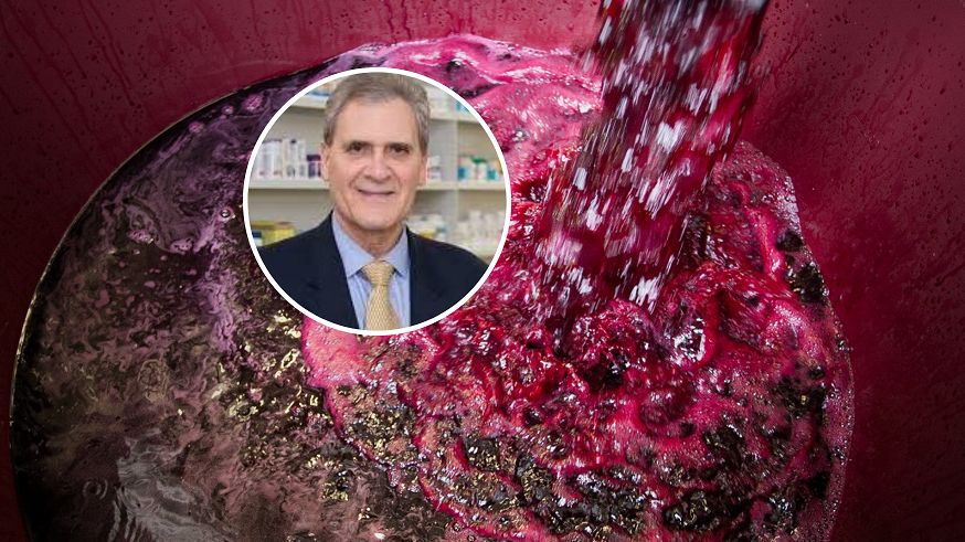 Składniki odżywcze winogron. Dlaczego warto je jeść?