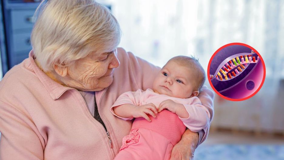 Nie tylko choroby. To dziedziczymy po dziadkach