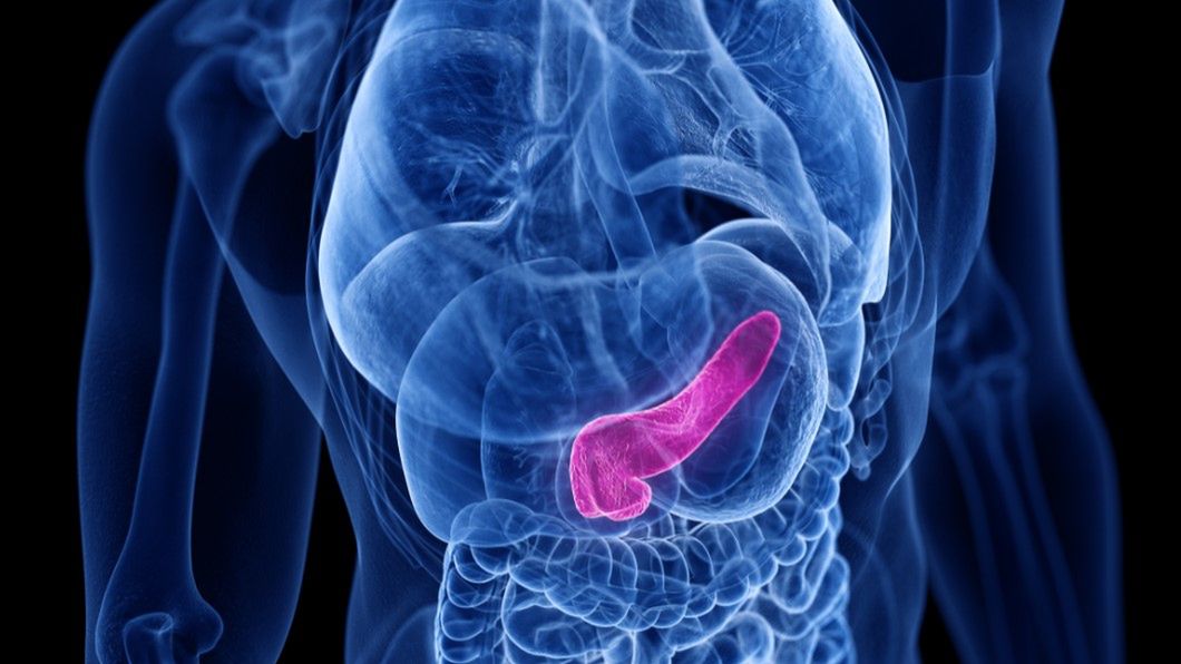 Lipaza - działanie, przebieg, normy, interpretacja