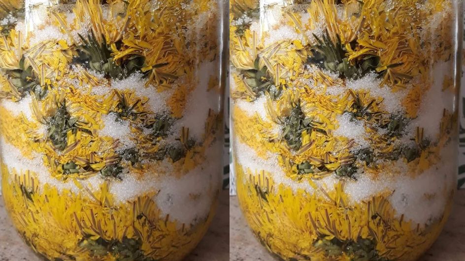 Podbiał pospolity ratuje płuca