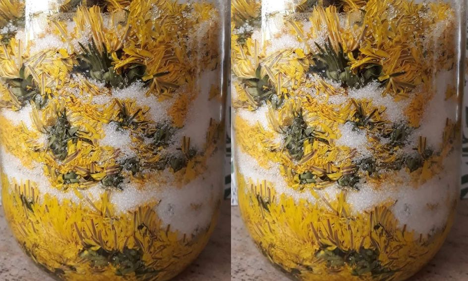 Mnisi okadzali nim astmatyków. Dziś wiemy, że czyści płuca jak odkurzacz