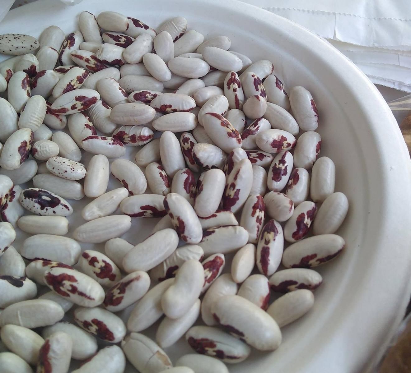 Fasola z orzełkiem jest bardzo zdrowa