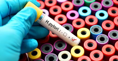 Nowy sposób walki z bakterią Helicobacter pylori w żołądku