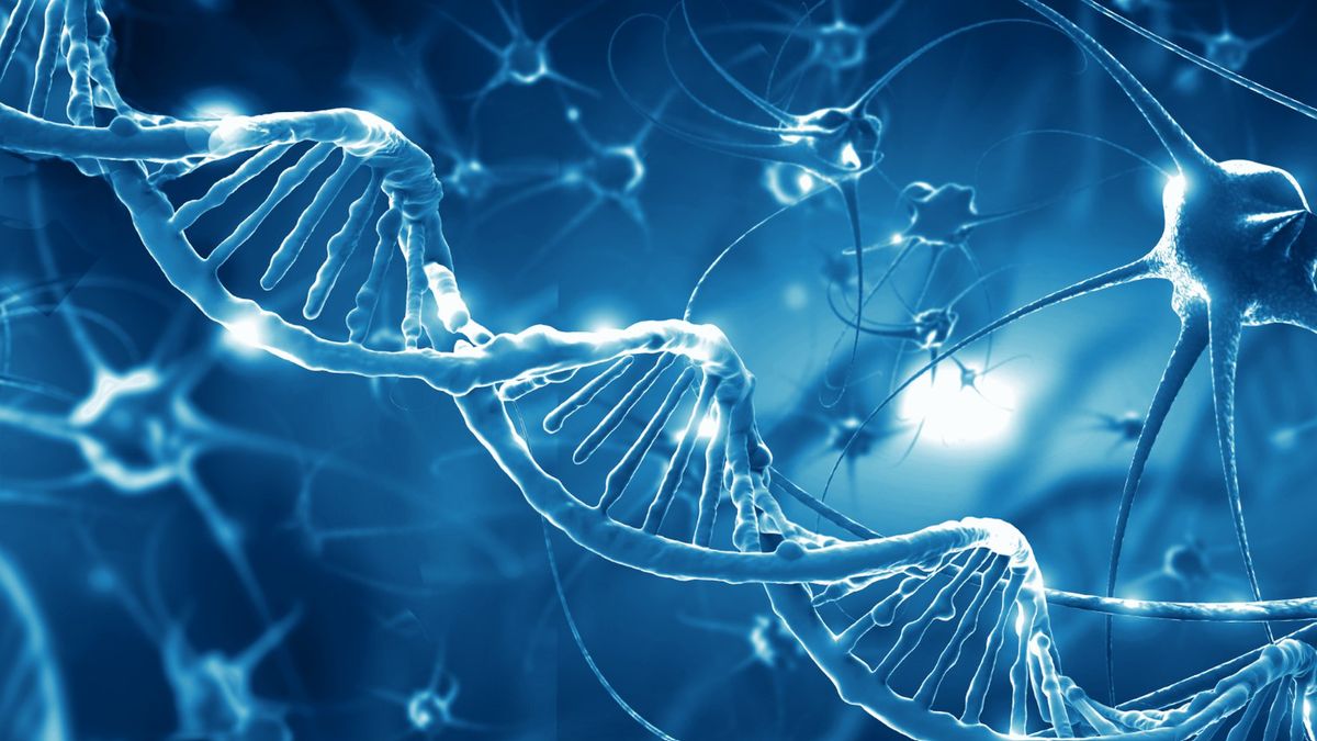 Choroba Kufsa to rzadka lizosomalna choroba spichrzeniowa dotycząca ośrodkowego układu nerwowego.