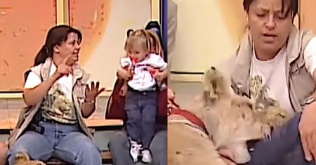 Chwile grozy w programie na żywo. Lwica rzuciła się na dziecko