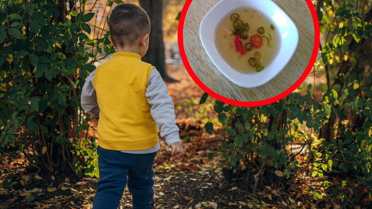 Zauważyli "wolny jeden talerz z zupą". Tak zorientowali się, że trzylatek zniknął