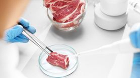 Azotyny dodawane do mięsa są rakotwórcze (WIDEO)