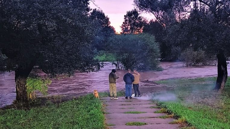 Policja apeluje do rodziców. "Dopilnujcie, aby dzieci zaraz po lekcjach wróciły bezpiecznie do domu"