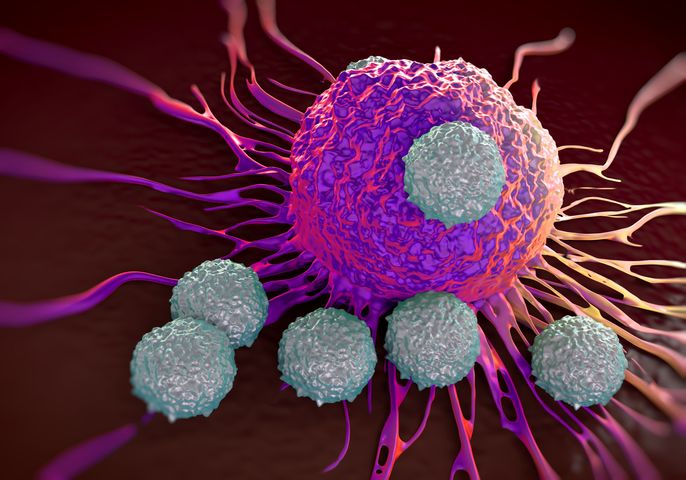 Naukowcy odkryli nowe receptory komórek T