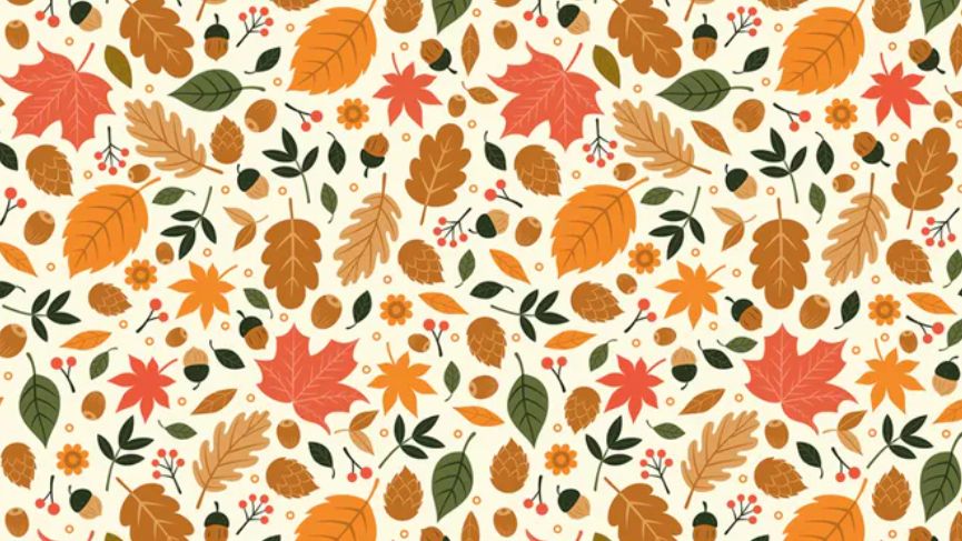 Czy potrafisz znaleźć ukryte zwierzątko? Sprawdź swoją spostrzegawczość