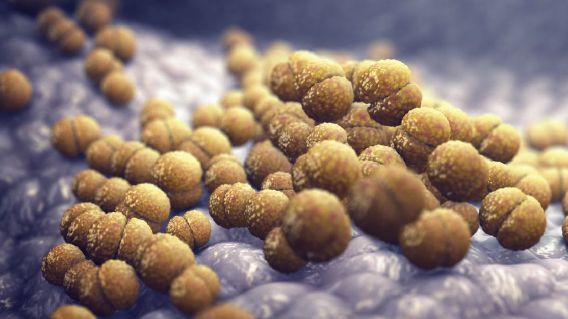 Rifampicyna Rifampicyna jako półsyntetyczny antybiotyk ansamycynowy, działa bakteriobójczo na paciorkowce, meningokoki czy dwoinki rzeżączki.