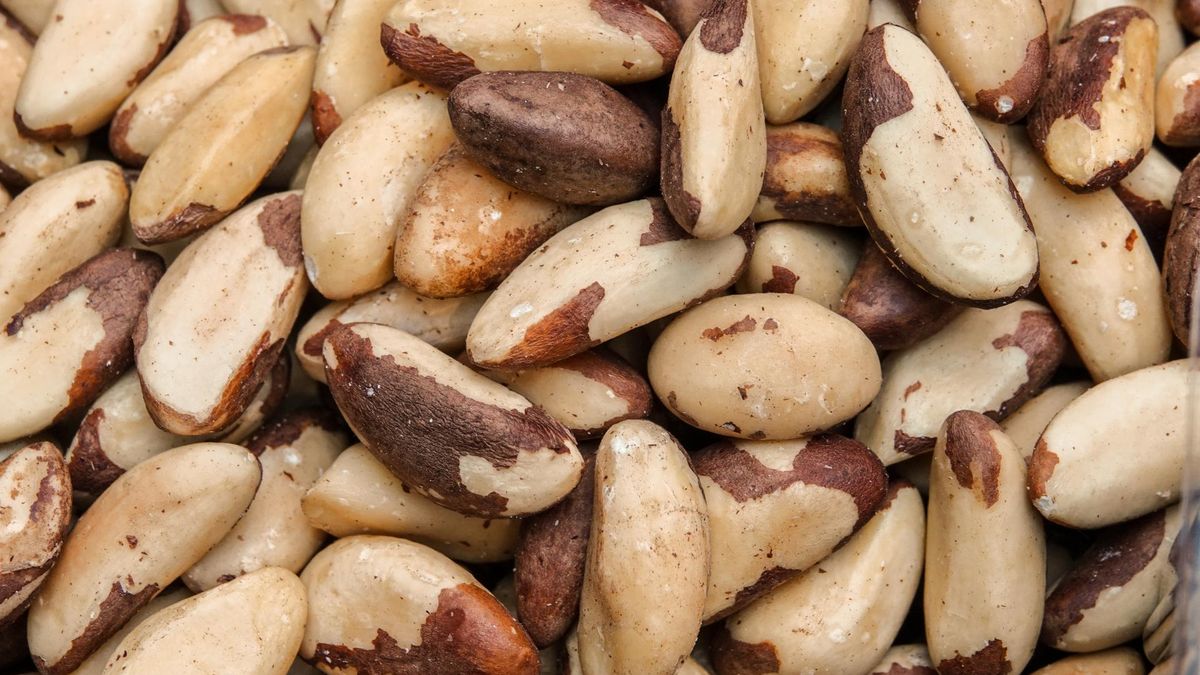 Co zawierają orzechy brazylijskie?