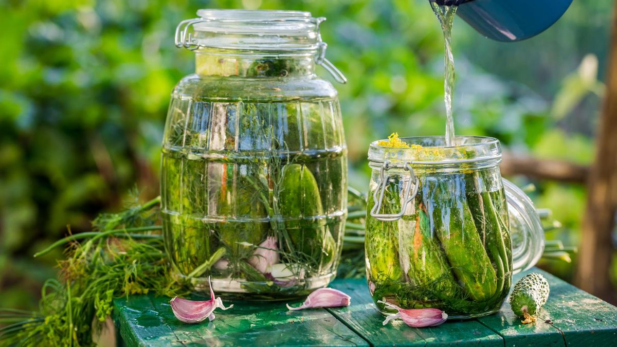 Ogórki małosolne [123rf.com]