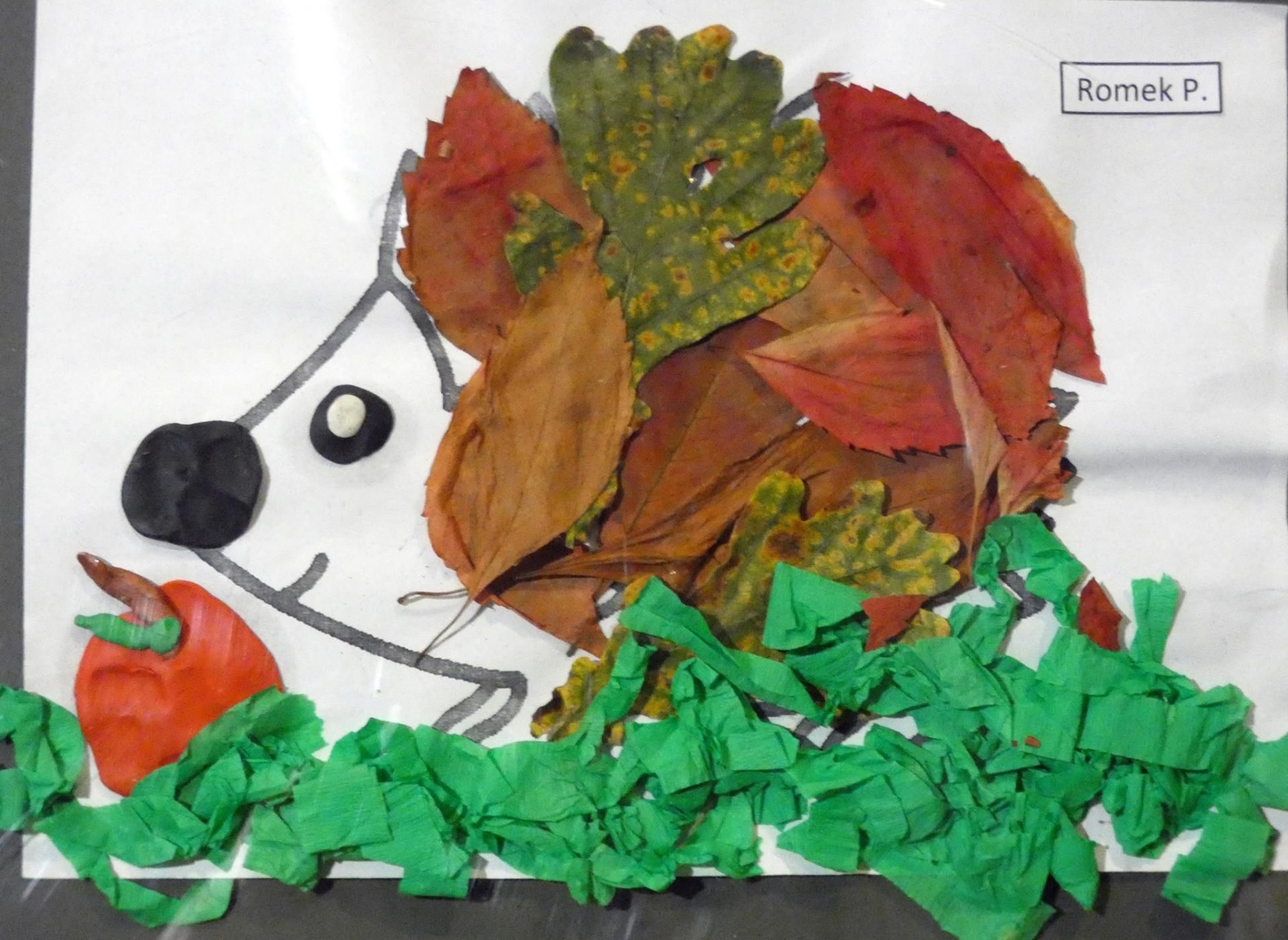 Jeż wykonany przez Daniellę