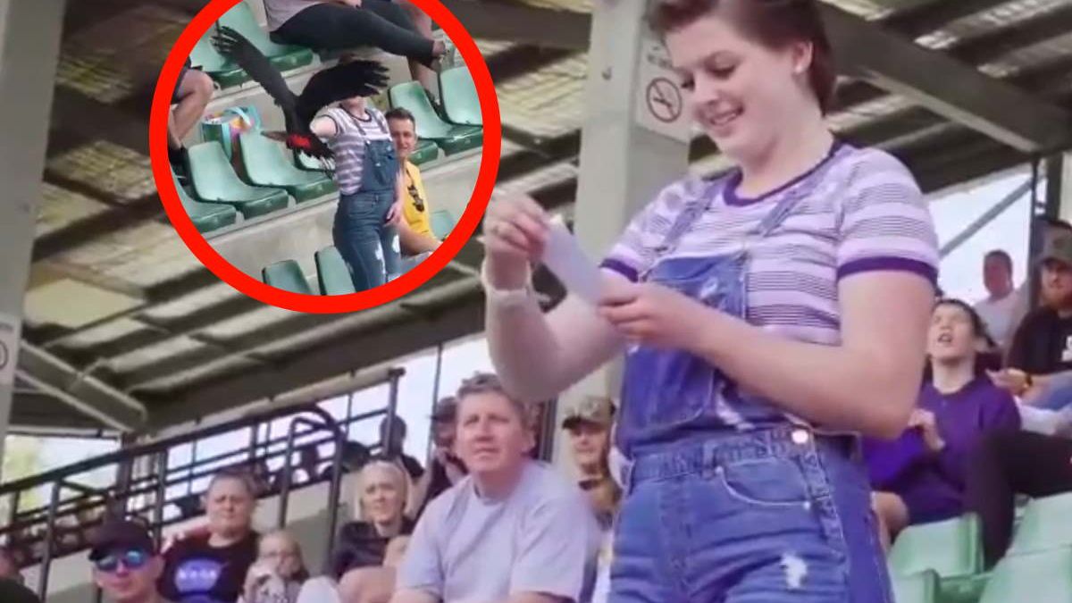 Ptak przyleciał do niej z karteczką. Zawierała tylko jedno pytanie