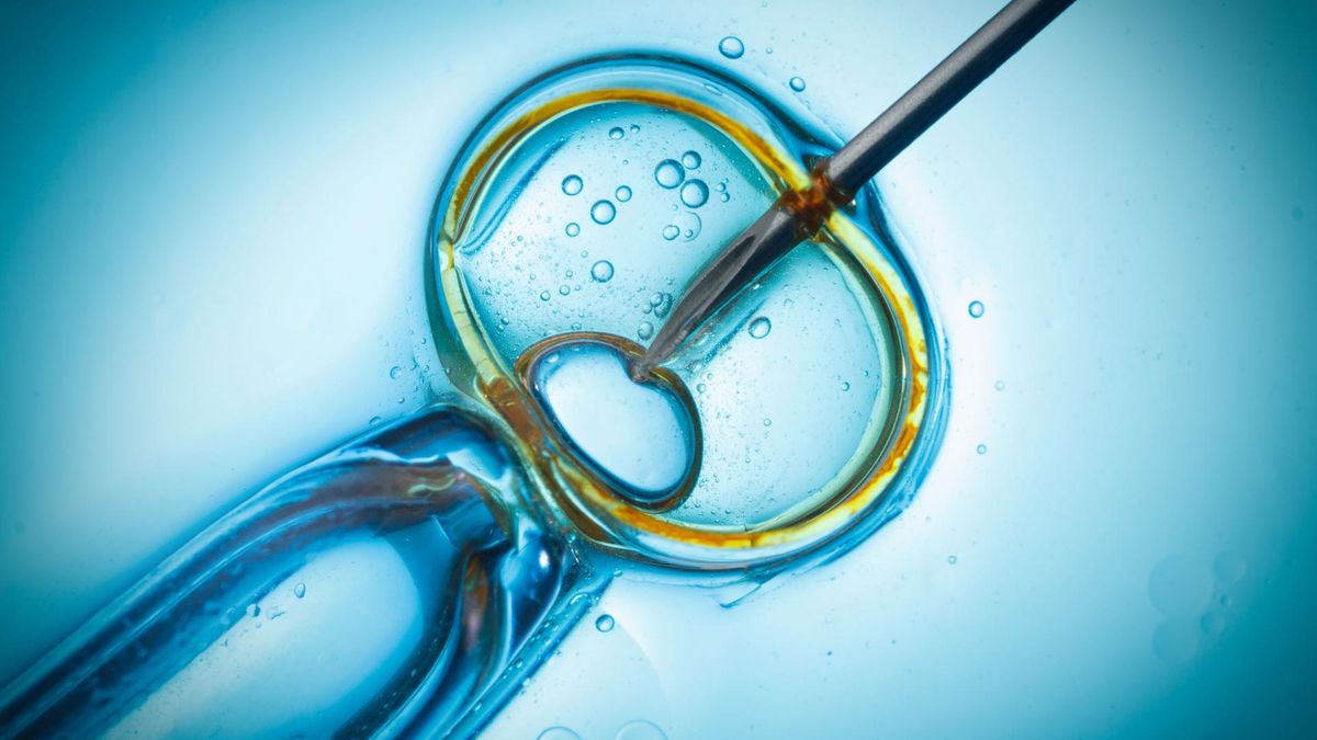 In vitro
