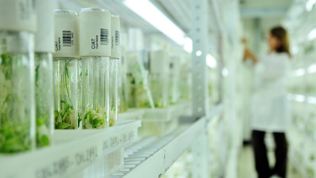 Skuteczność in vitro