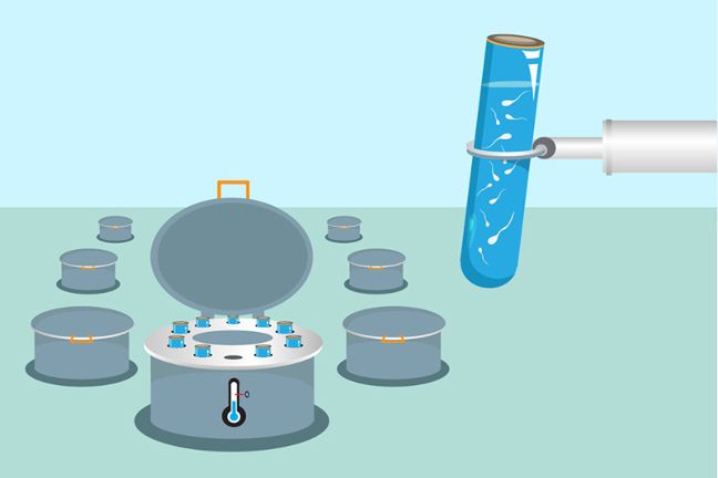 Męskie nasienie, przechowywane w bankach spermy, wkładane jest do specjalnych pojemników, w których temperatura spada nawet do 190 stopni Celsjusza