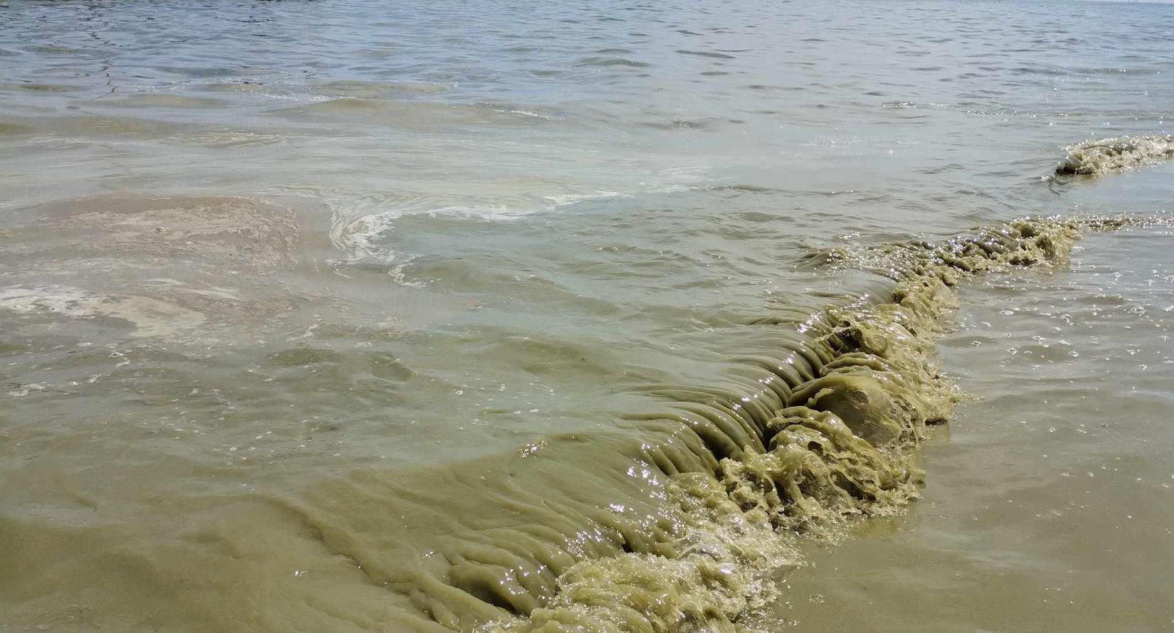 Tak wyglądała w poniedziałek woda w kąpielisku Gdynia - Bulwar