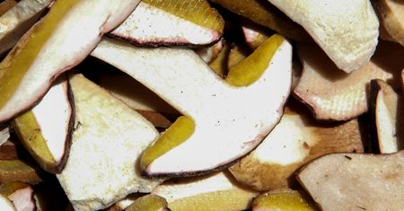 Cenne źródło białka i witamin. Jednak dla tych osób grzyby są zakazane