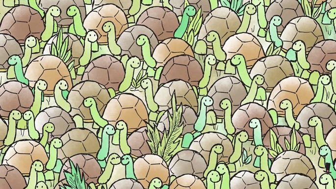 Wśród żółwi ukrył się wąż. Jesteś w stanie zlokalizować gada ukrytego na obrazku?