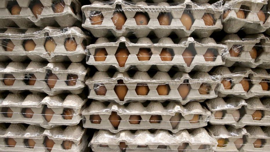 Wycofanie kilku partii jaj. Podczas kontroli wykryto bakterie salmonelii