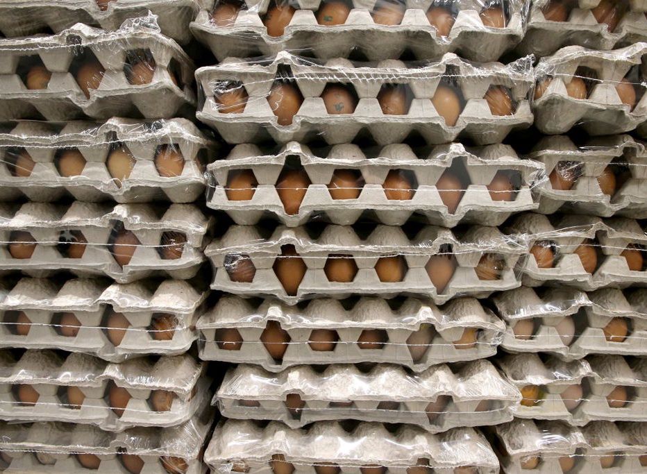 GIS ostrzega: w kilku partiach jaj wykryto bakterie Salmonelli