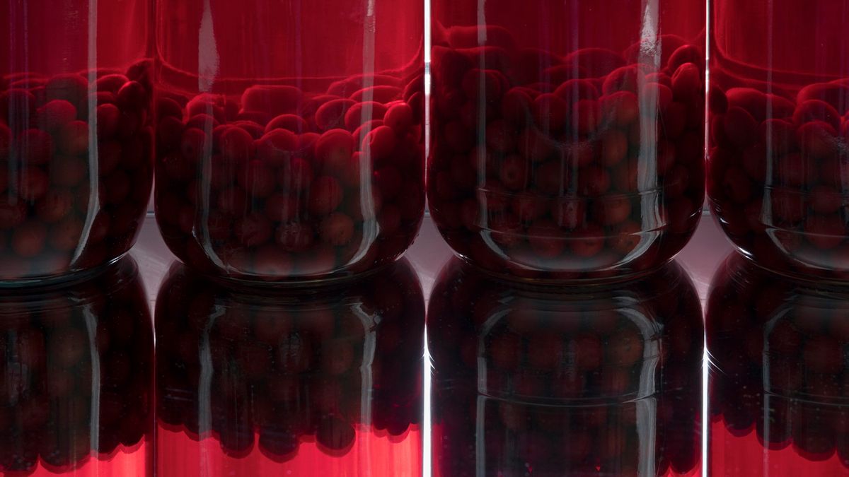 Wiśnie wpływają pozytywnie na funkcjonowanie trzustki