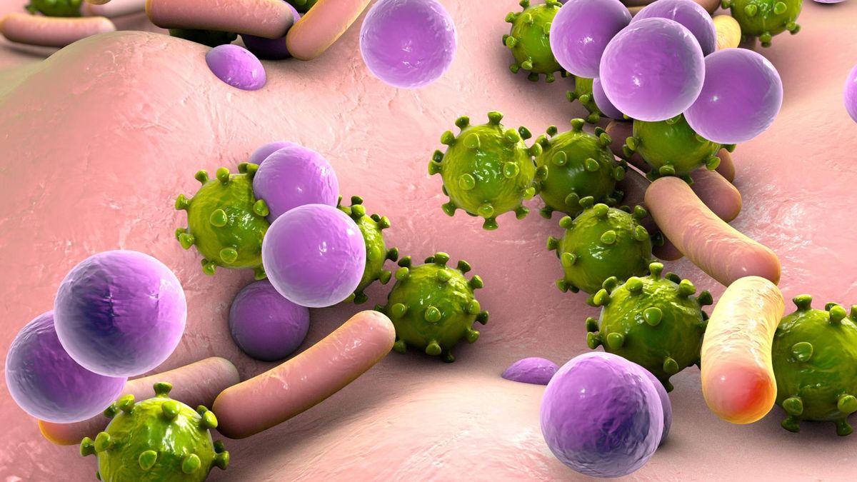 Gronkowiec NIEmile widziany!