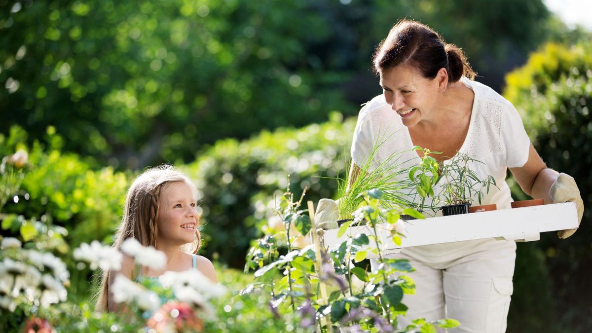 Bezpieczne zioła dla dzieci