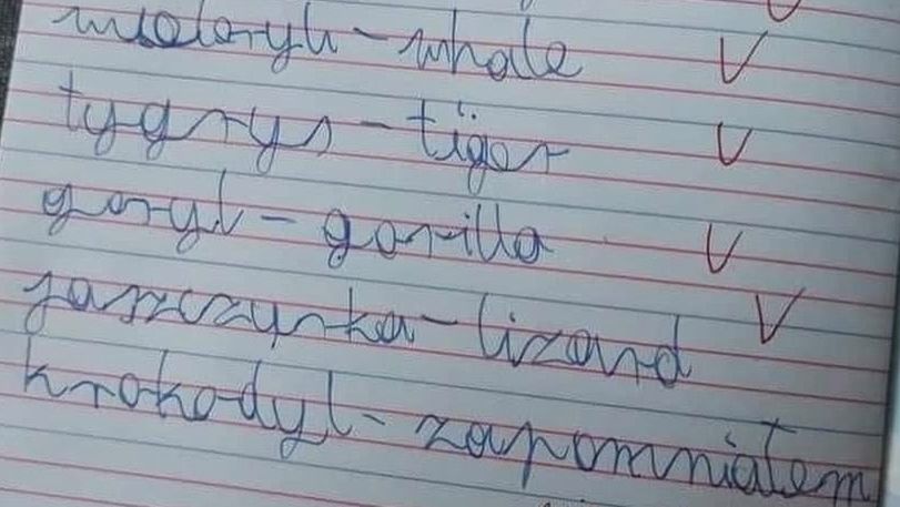 Źle rozwiazane zadanie. Zaskakująca reakcja nauczyciela