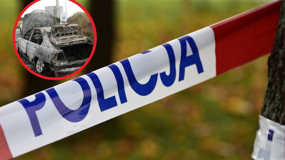 Makabryczne odkrycie koło Wschowy. Zdjęcie ilustracyjne