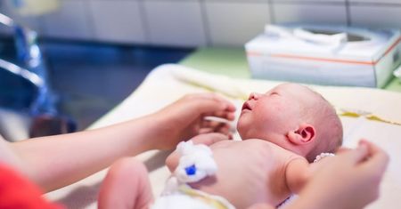 Krew pępowinowa - właściwości, komórki macierzyste, procedury pobrania, zastosowanie